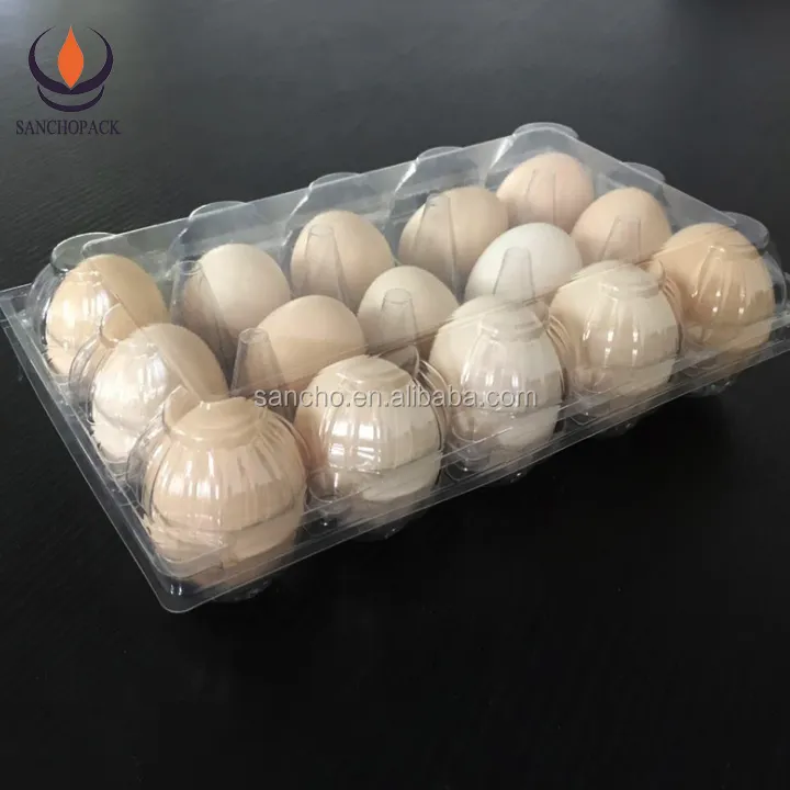 Caja de cartón de embalaje de 12 huevos de plástico de bajo precio con buenas dimensiones