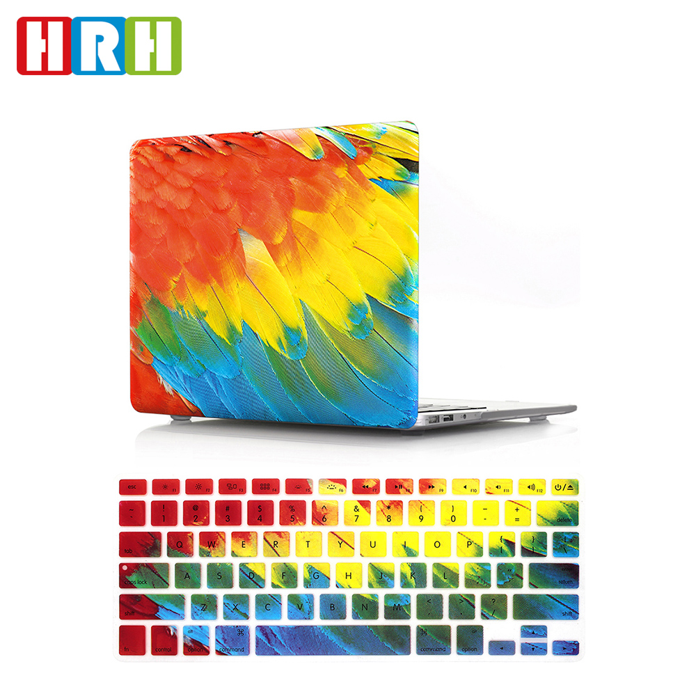 Plume colorée