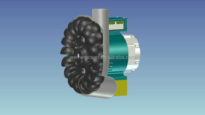 Water Power Mini Hydro Alternator
