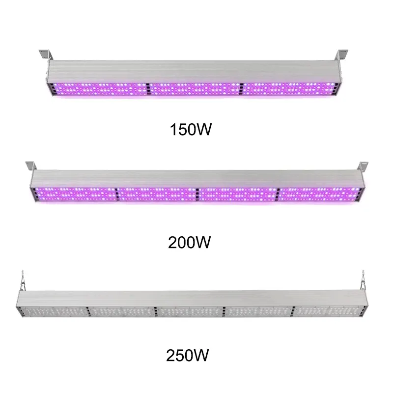 Benutzerdefinierte spektrum modul design full spectrum Gartenbau Hydrokultur gewächshaus 150W 200W 250W rohr led wachsen licht