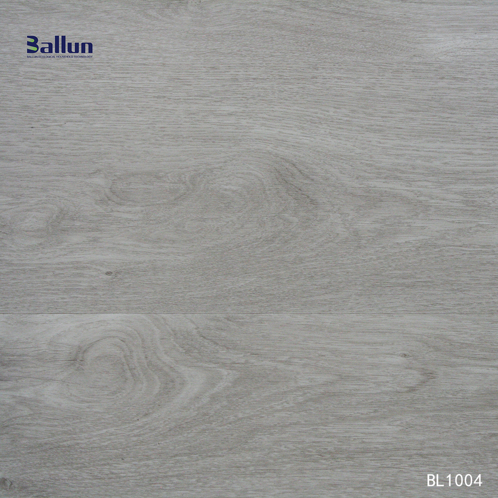 BL1004