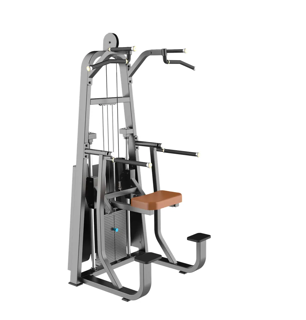 La migliore macchina da palestra In cina selezione commerciale caricata a perno Dip/Chin assistito Chin Pull Up Machine per Body Building