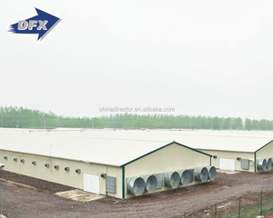 Çin çelik yapı düşük maliyetli prefabrik kümes dökme ekipmanı tavuklar için