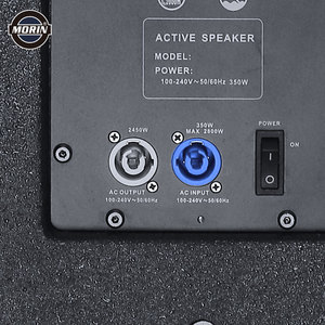 Modulo amplificatore digitale altoparlante attivo DSL-15DSP con processore altoparlante digitale - Product Image 4