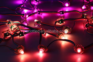 Modul <span class=keywords><strong>Dot</strong></span> Matriks <span class=keywords><strong>Led</strong></span> RGB, 5V Bentuk Persegi Tahan Air IP68 12Mm <span class=keywords><strong>WS2801</strong></span> - Product Image 6