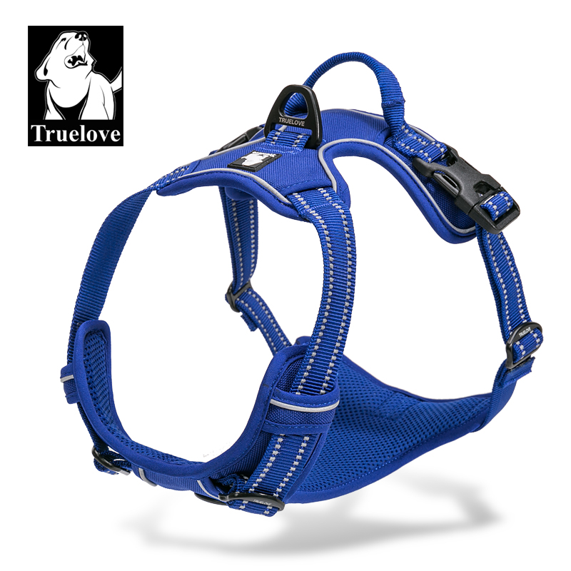 Bleu royal