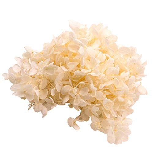 ARROZ BLANCO