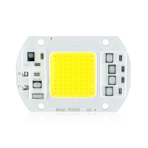 AC 110V 220V 230V חכם IC 20W 30W 50W <span class=keywords><strong>LED</strong></span> COB מנורת שבב DIY <span class=keywords><strong>LED</strong></span> הארה זרקור
