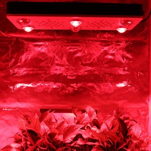 גבוהה כוח מלא ספקטרום כפול עדשת dimmable <span class=keywords><strong>led</strong></span> צמח לגדול אור מנורת cob 550 w <span class=keywords><strong>led</strong></span> לגדול אור עבור רפואי צמח