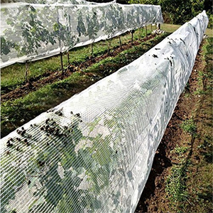 Plastic Anti Bird/Hail/Insect <strong>Net</strong> Plants protection <strong>Net</strong> Manufacturer for Agriculture - Product Image 6
