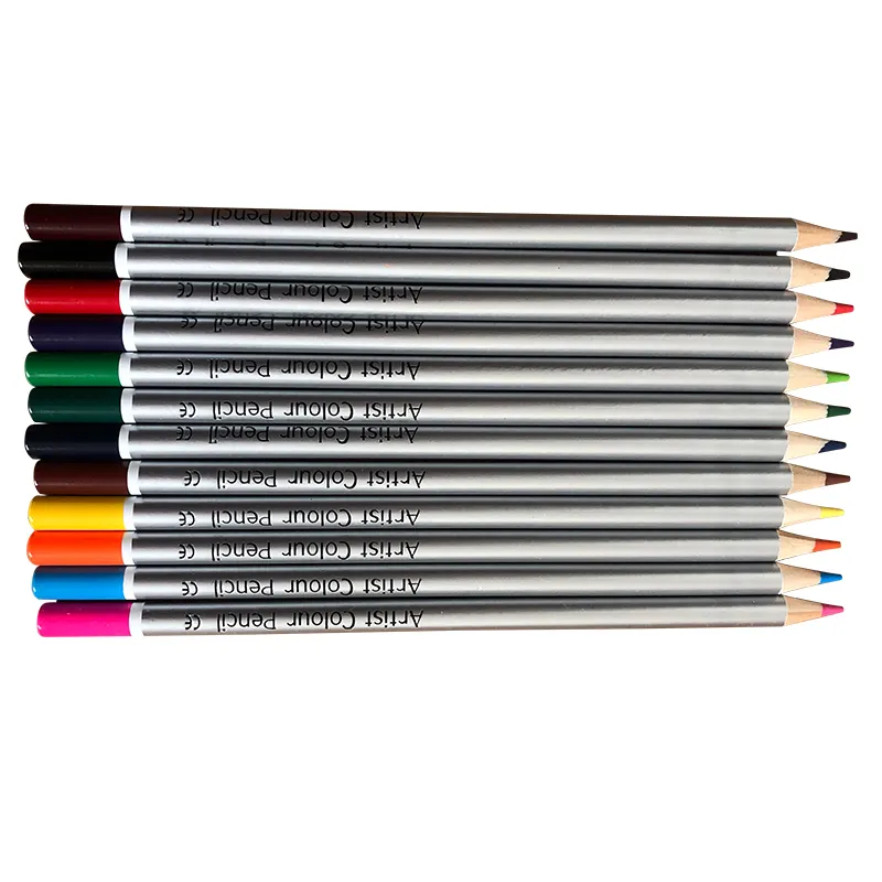 12アーティスト高品質カスタムアーティストペンシル12色鉛筆アートセット色鉛筆