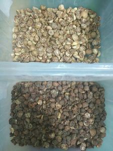Intelligent CCD Parboiled Rice <strong>Color</strong> Sorter <strong>Machine</strong> China High Quality RGB Plastic <strong>Mineral</strong> Ore Optical <strong>Sorting</strong> <strong>Machine</strong> - Product Image 5