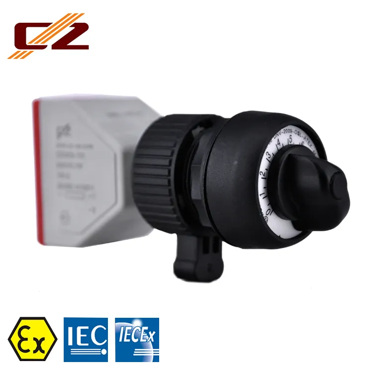 IECEX and ATEX Certified Industrial Explosion Proof 100, 500k Ohm Potentiometer Variable Resistor