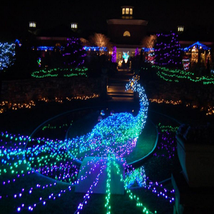 ไฟเชือกหลากสี LED แม่ลายนกยูงสำหรับตกแต่งเทศกาล - Product Image 4