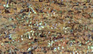 <strong>Inlay</strong> Furniture/ Joinery Abalone Shell Paper/shell Slice - Product Image 3