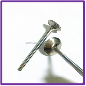 Tarım makinaları yedek parça motor SUPAP LOMBARDINI <span class=keywords><strong>LDA</strong></span> için Fit 96 97 510 673