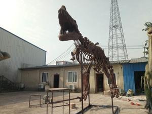 Dino0181 恐龙化石骨架复制品在博物馆出售 - Product Image 3