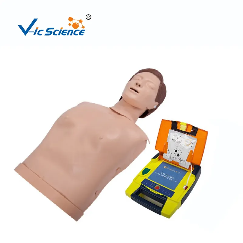 Hight Quality Automated External Simulated Defibrillation and CPR Training Manikin