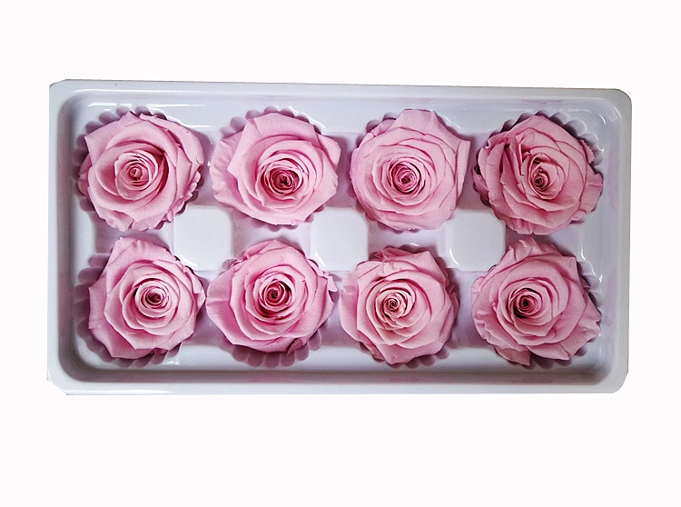 Rose taro