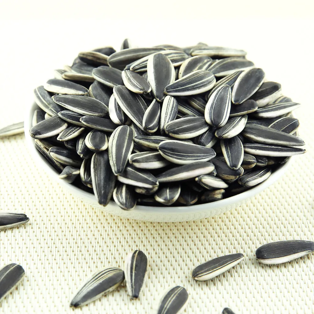 Price of 5009 sunflower seeds America type