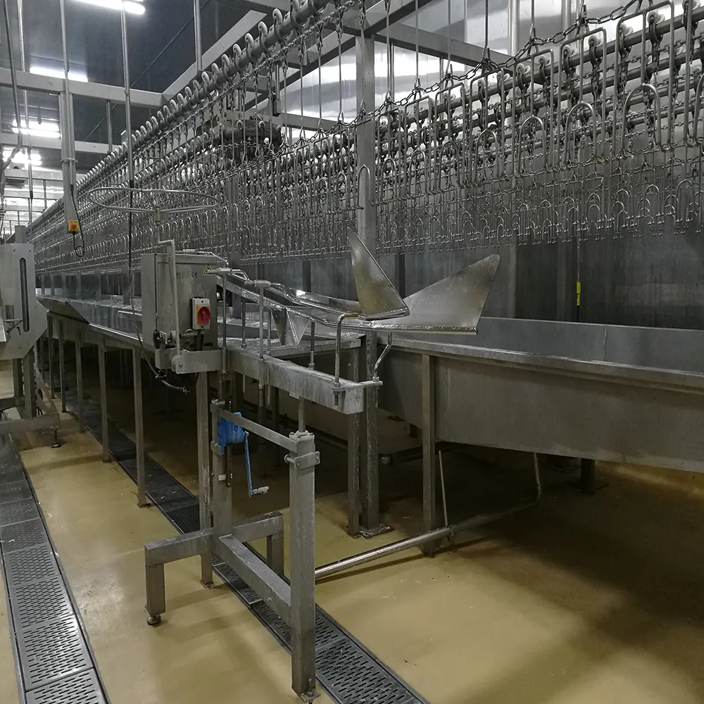 Piccola produzione di 500bph di pollo pollame macellazione linea di attrezzature e di processo