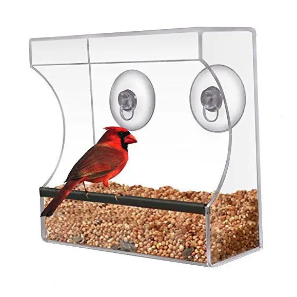 Mangeoire pour oiseaux en acrylique transparent, par aspiration, pour fenêtres