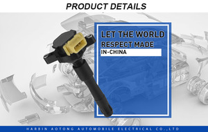 干式自动点火线圈OEM 12131748018 12131703825 12131703227 0221504001为BMW MG Rover