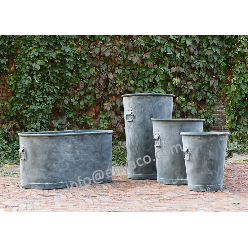 Gris