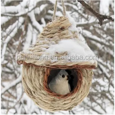 Finch bird nest