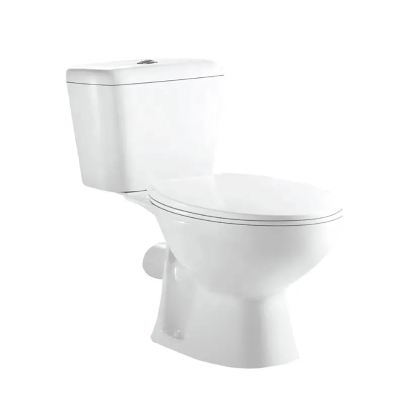 Homeware bouton poussoir chasse en céramique Washdown deux pièces toilette