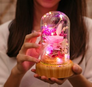 LED 许愿瓶灯灯无线扬声器永恒花玻璃梦想希望流瓶光夜灯