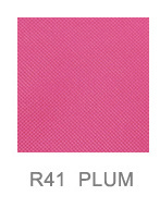 Prugna