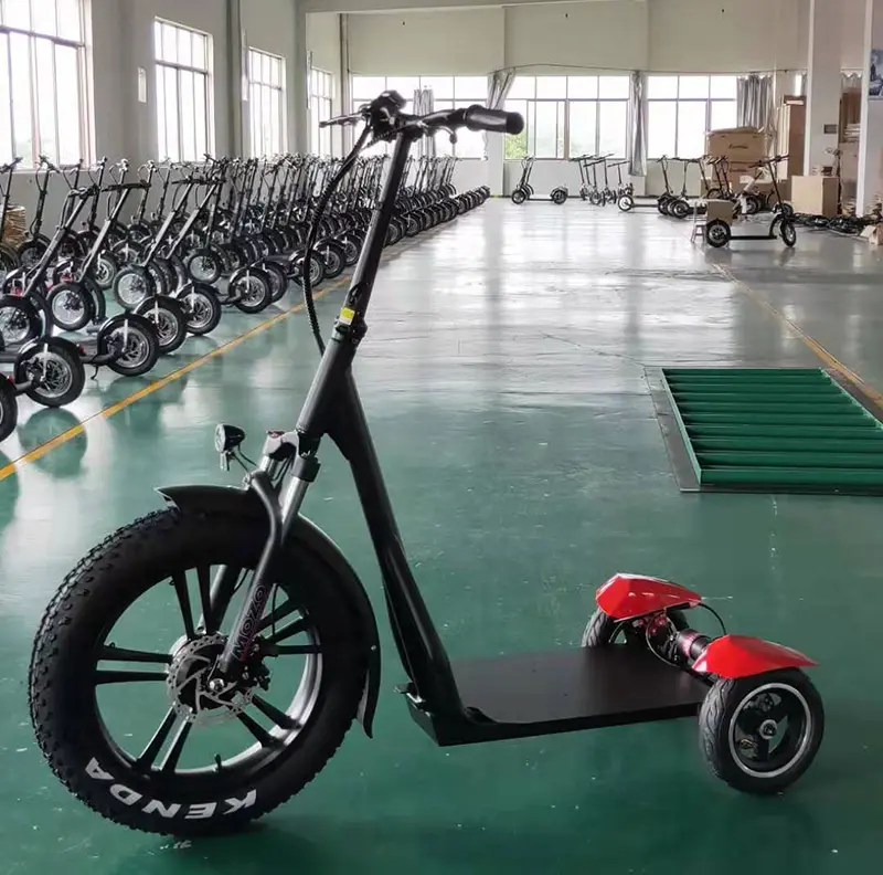Factory Directly Family 3 wheel electric tricycle with lithium