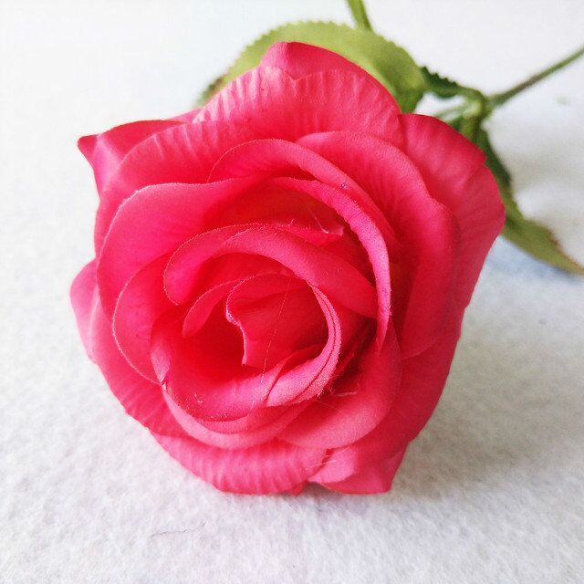 rosa roja