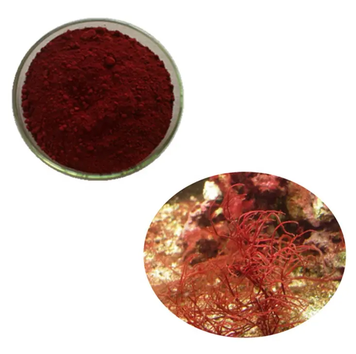 純粋なバルク赤藻類アスタキサンチンエキスパウダー