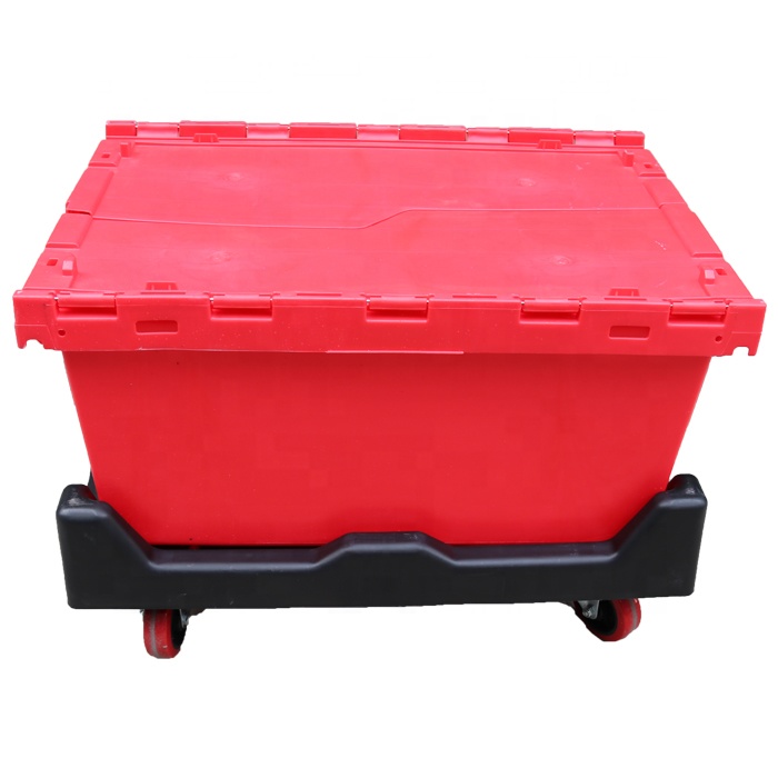 Rojo (Stock AE)***