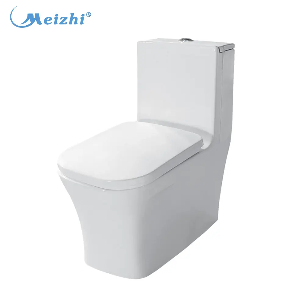 Cinese standard di fabbrica wc bidet formato con pp sedile del water