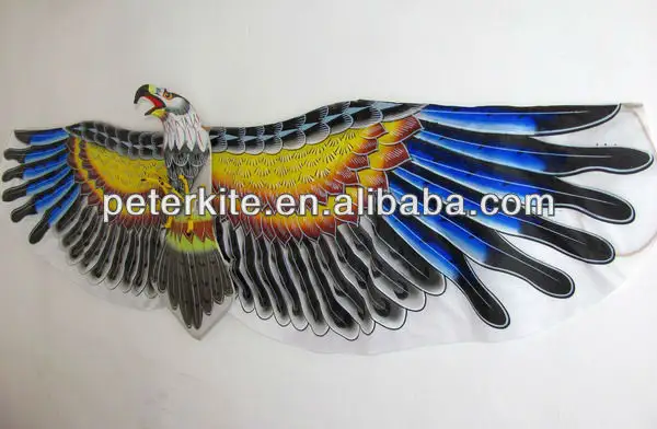 Chinois traditionnel aigle cerf-volant