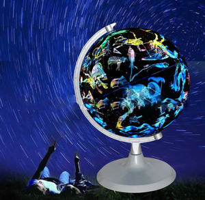 Gelsonlab HSGA-032 Educational 8 Inch World Globe Built in LED Light with World <strong>Map</strong> and Constellation View - Product Image 3