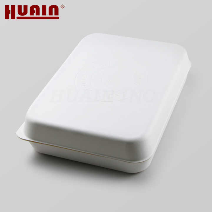 Compostable Molded Paper Pulp Box Packaging