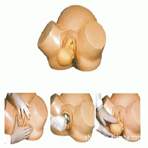 Tıbbi model hastalık gösteri tıbbi öğretim aracı için gelişmiş tıbbi ebelik eğitim modeli - Product Image 3