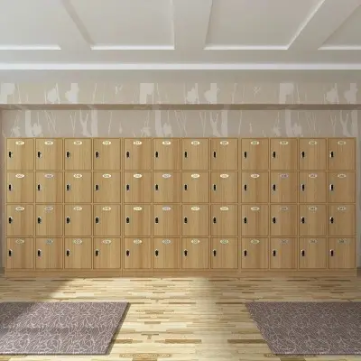 Schließ fächer für Schulen Wooden Gym Locker