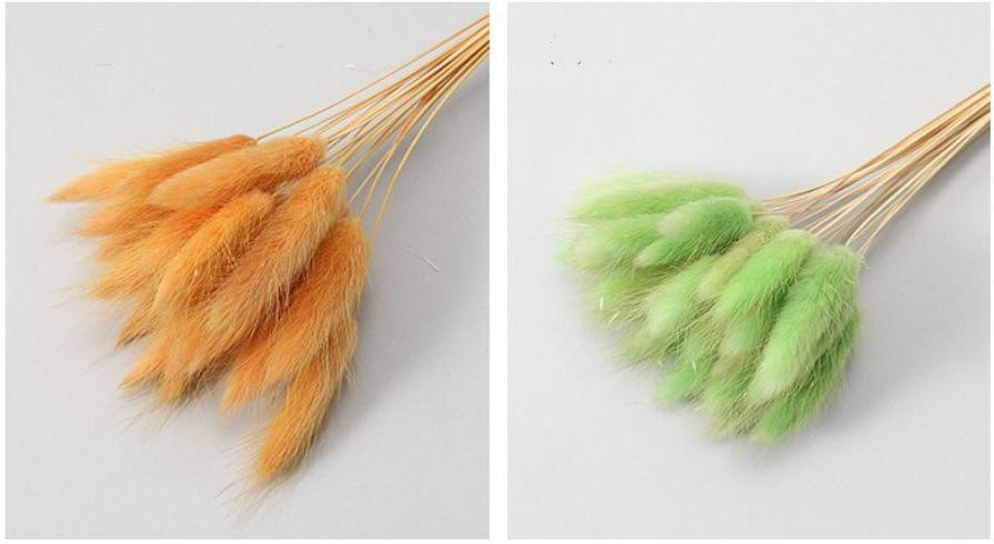Orange AND GREEN