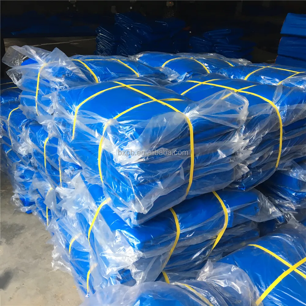 중국 공장 도매 블루 폴리에틸렌 직물 PE 짠 타포린