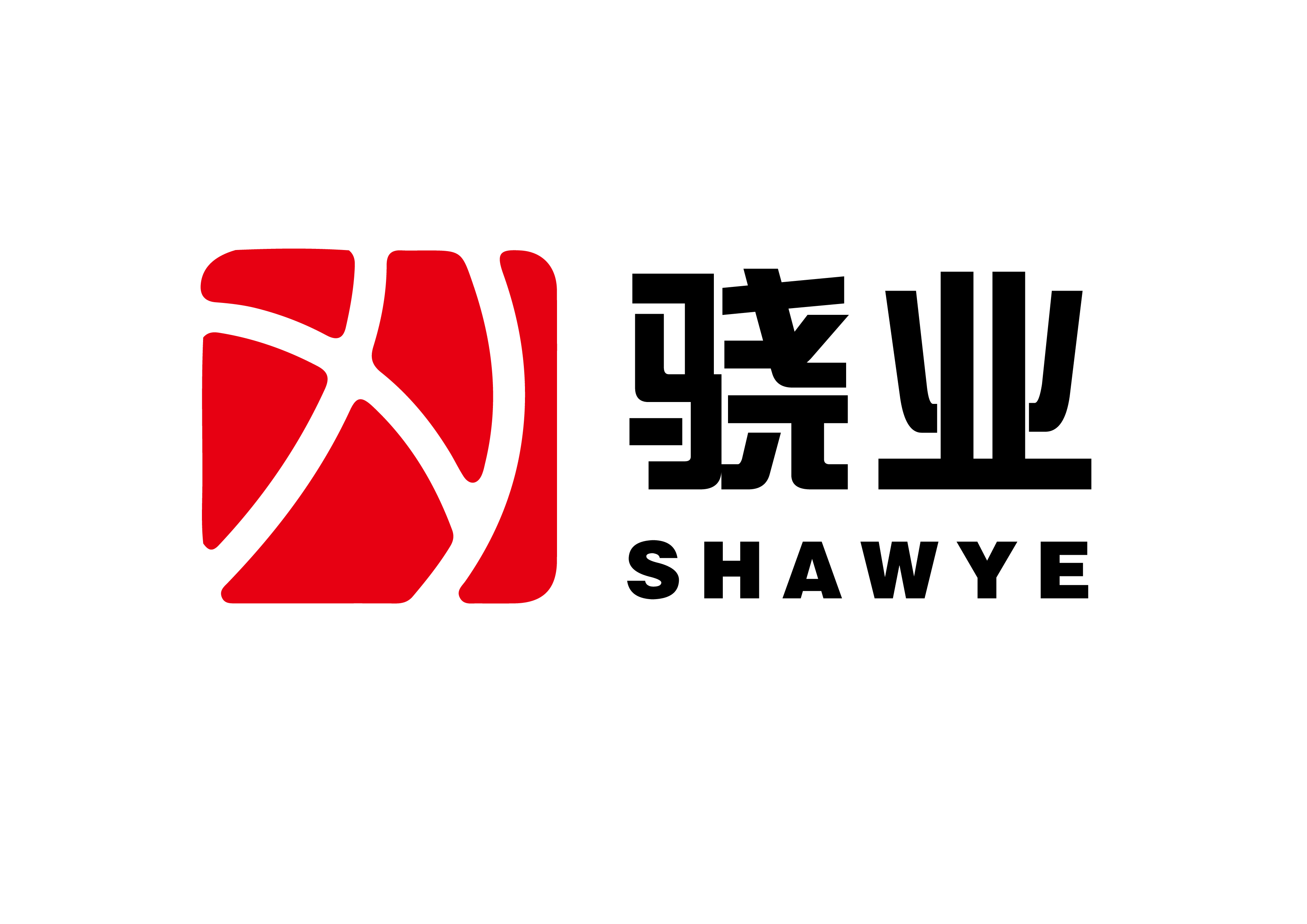 company logo