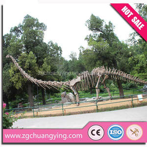 恐龙博物馆商场流动展展出恐龙化石及骨骼复制品 - Product Image 4
