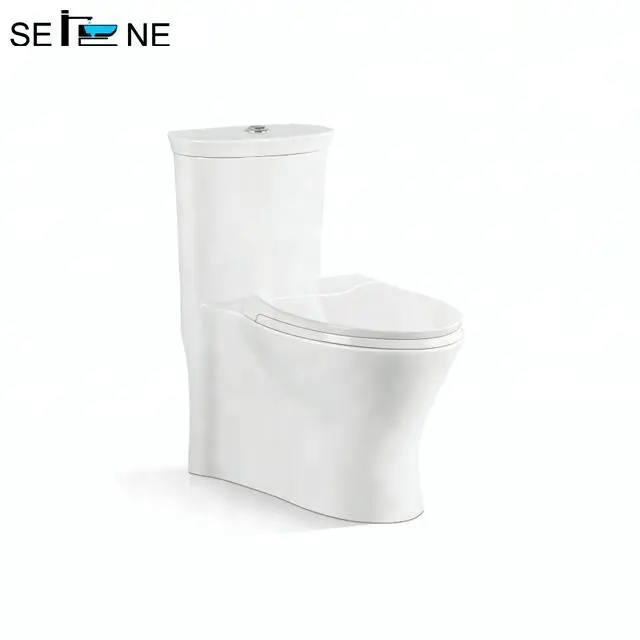 Ceramic Sanitary Ware Bathroom Factory One Piece Toilets S-trap300mm Siphon Jet Dual Flushing