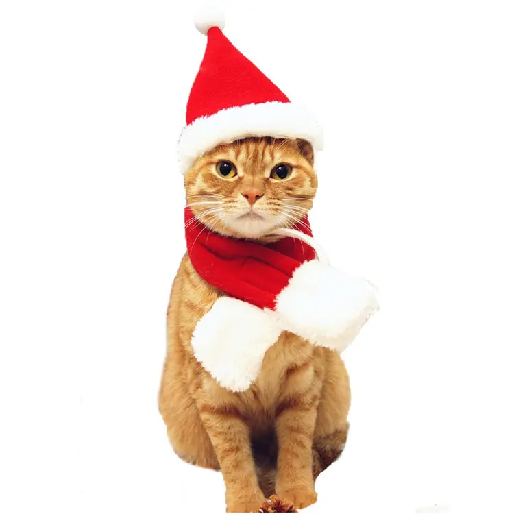 Gorro de Papá Noel elástico para mascotas, con cuello de bufanda para gatos, perros, cachorros, gatitos y animales pequeños