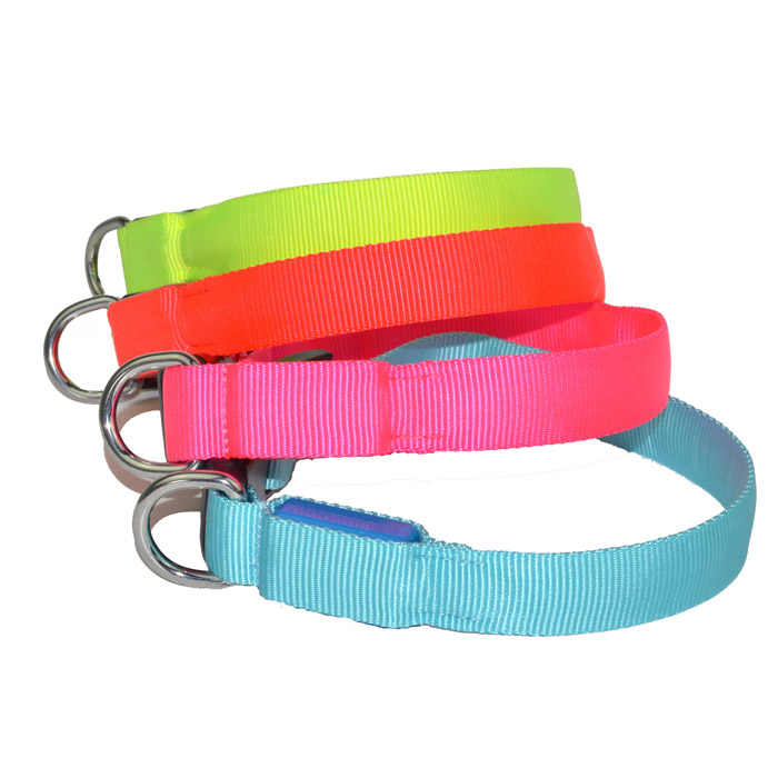 Factory Supply TZ-PET2110 USB Cable Rechargeable Glow Light up Led Dog Collar Pet Collar and Leash