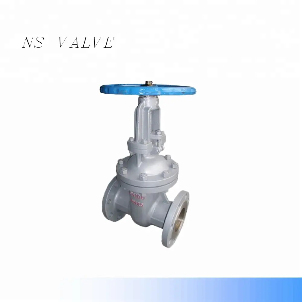 China manufacturer cast steel flanged gate valve